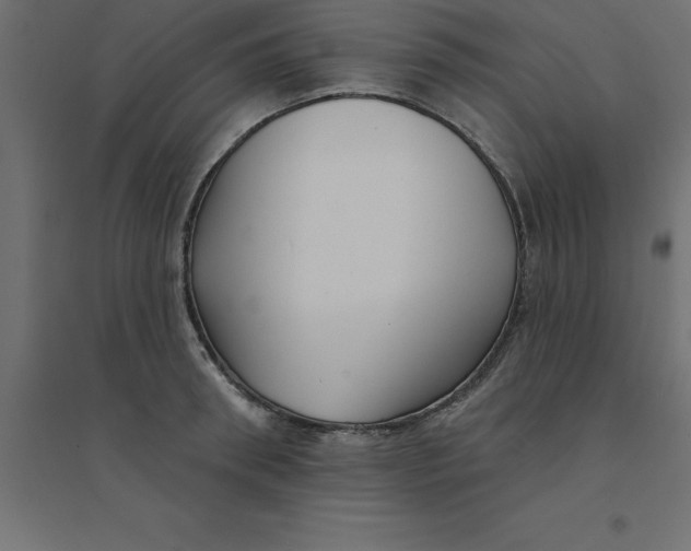 X0000094350898200711241912