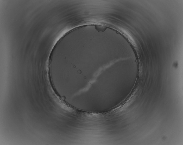 X0000094350899200711241912