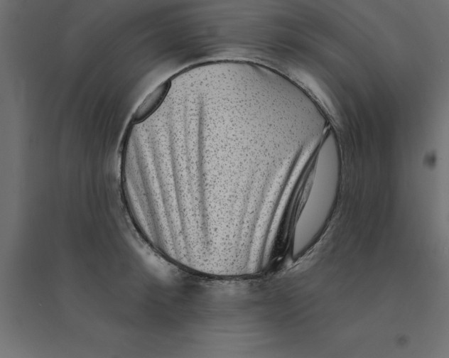 X0000094350900200711241912