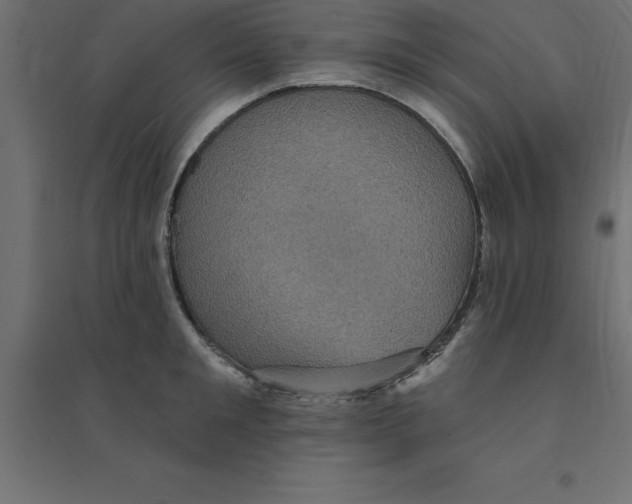 X0000094350901200711241912