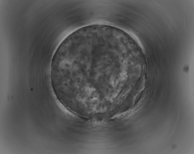 X0000094350903200711241912