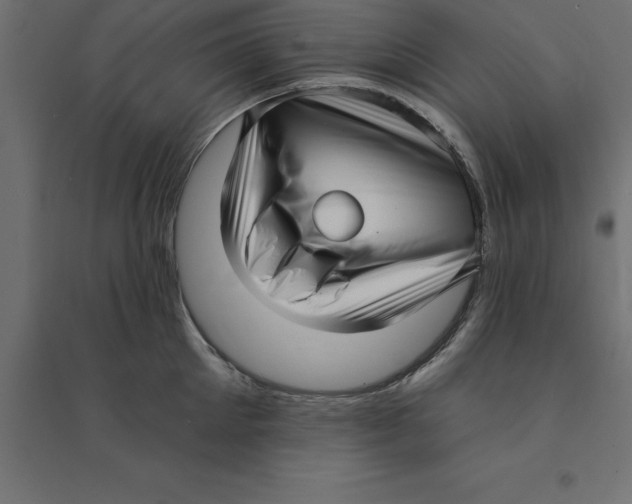 X0000094350905200711241912