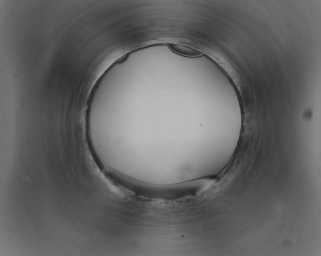 X0000094350906200711241912