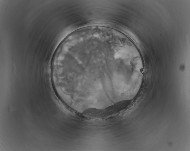 X0000094350907200711241912