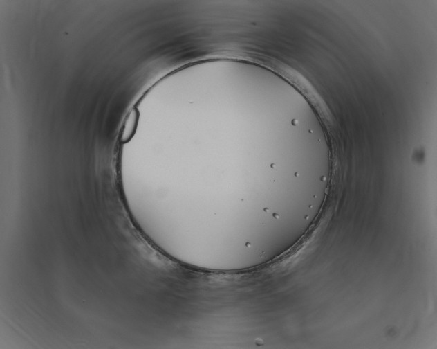 X0000094350908200711241912