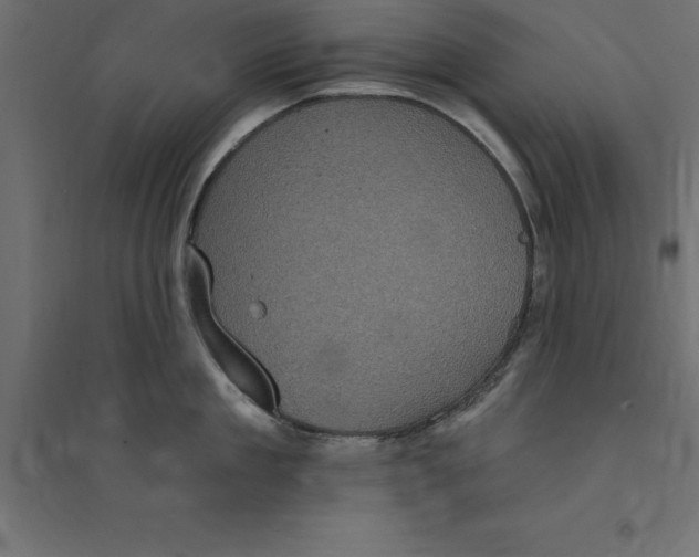 X0000094350909200711241912