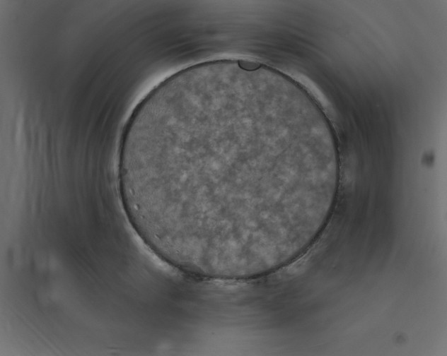 X0000094350910200711241912