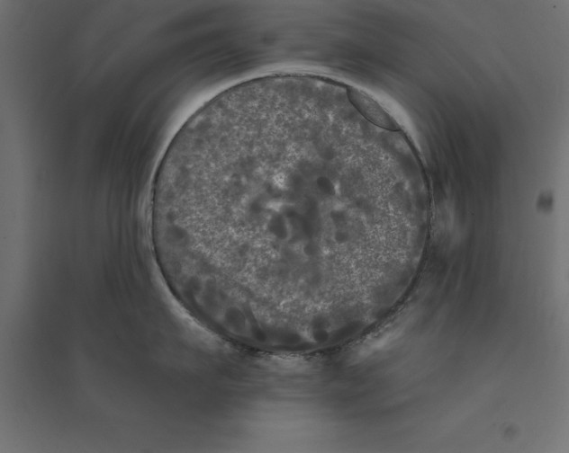 X0000094350911200711241912