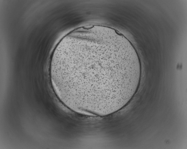 X0000094350912200711241912