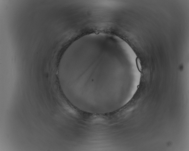 X0000094350913200711241911