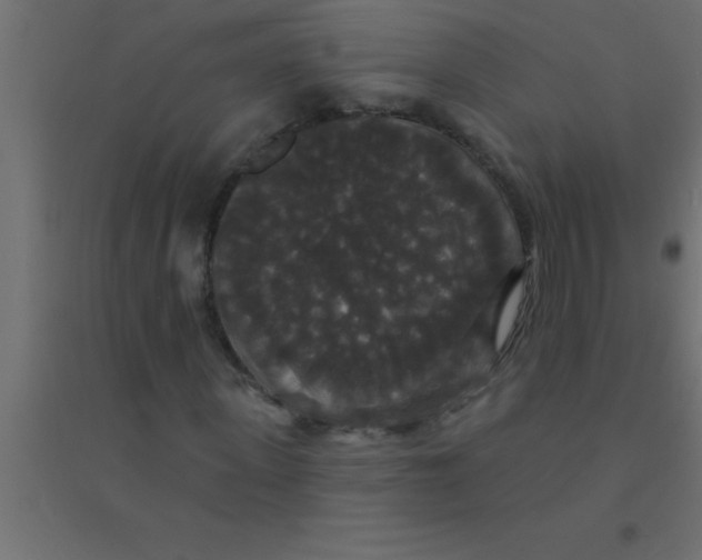 X0000094350915200711241911