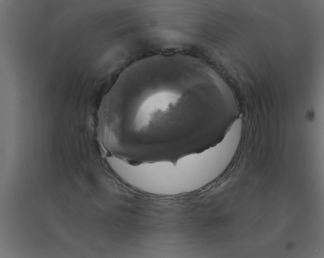 X0000094350916200711241911