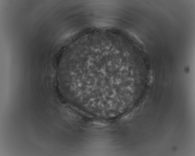 X0000094350917200711241911