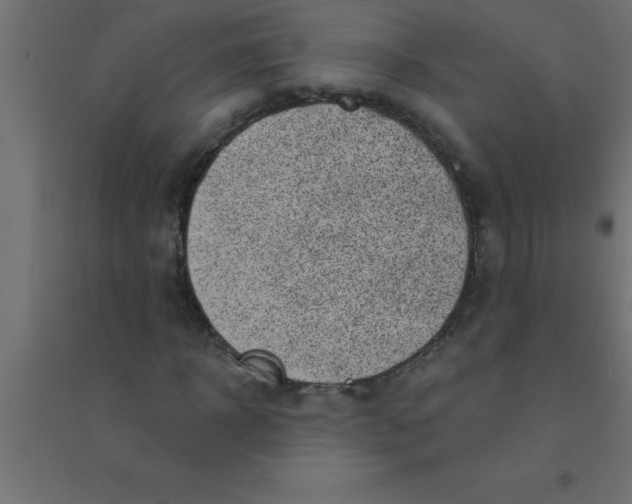 X0000094350918200711241911