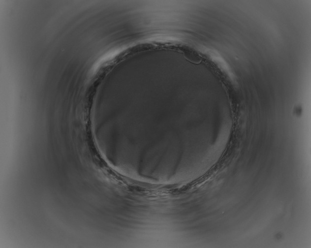 X0000094350920200711241911