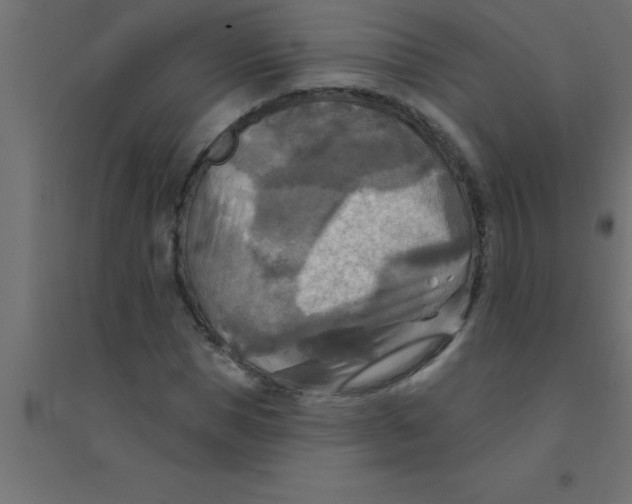 X0000094350921200711241911