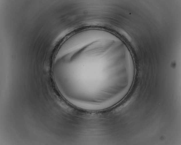 X0000094350922200711241911