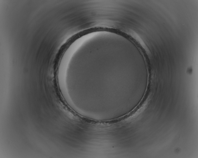 X0000094350923200711241911