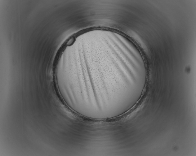 X0000094350924200711241911