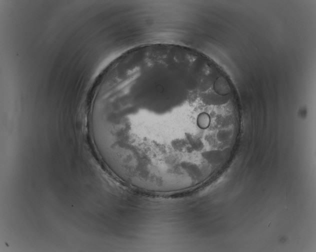 X0000094350925200711241911