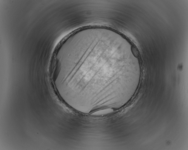 X0000094350928200711241911