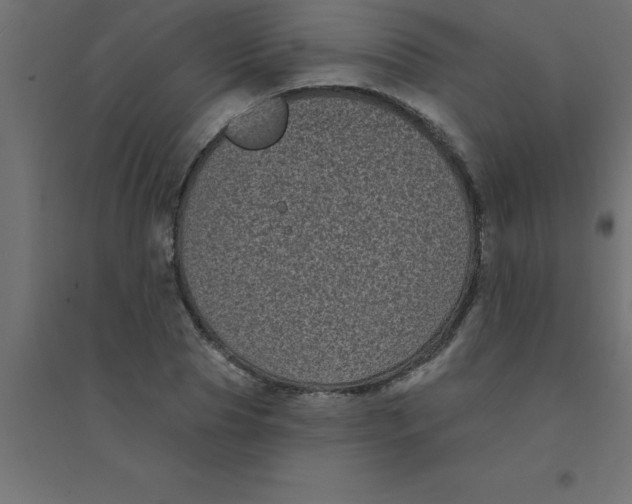 X0000094350929200711241911