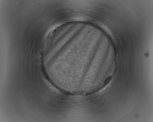 X0000094350930200711241911