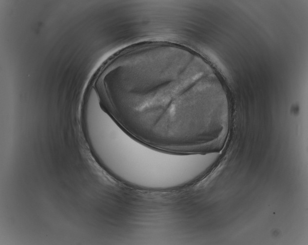 X0000094350932200711241911