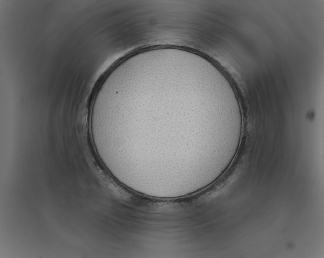 X0000094350933200711241911