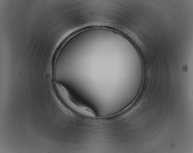 X0000094350934200711241911