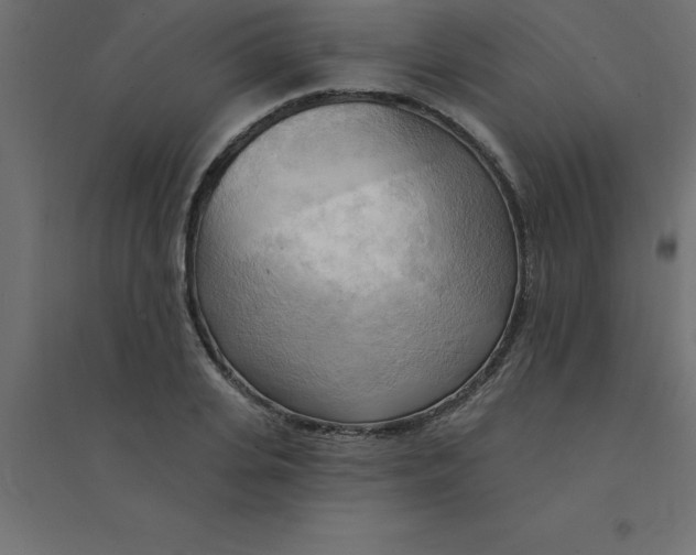 X0000094350935200711241911