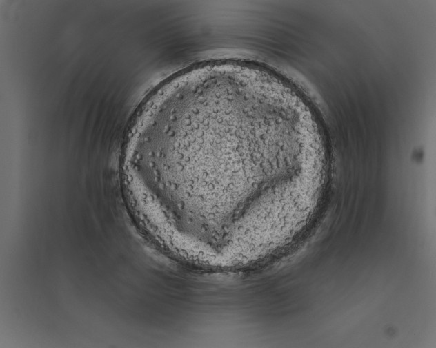 X0000094350937200711241911