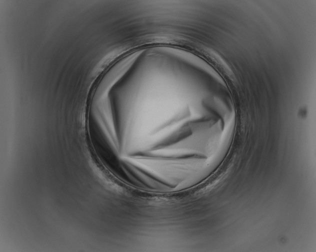 X0000094350938200711241911