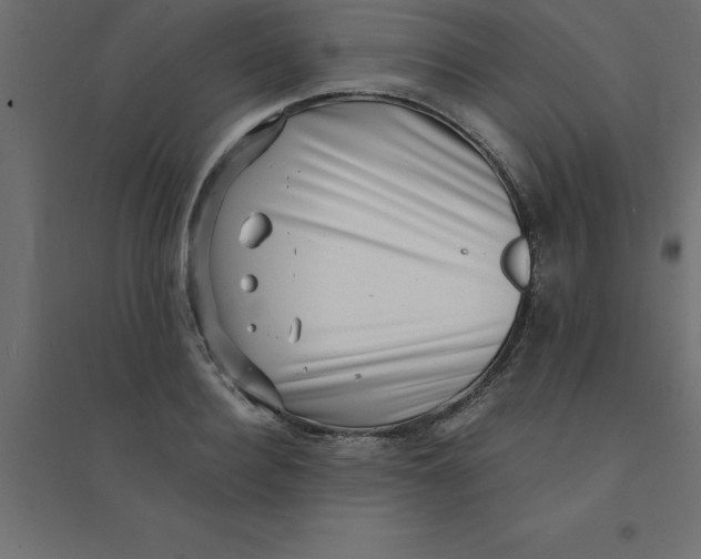 X0000094350940200711241911