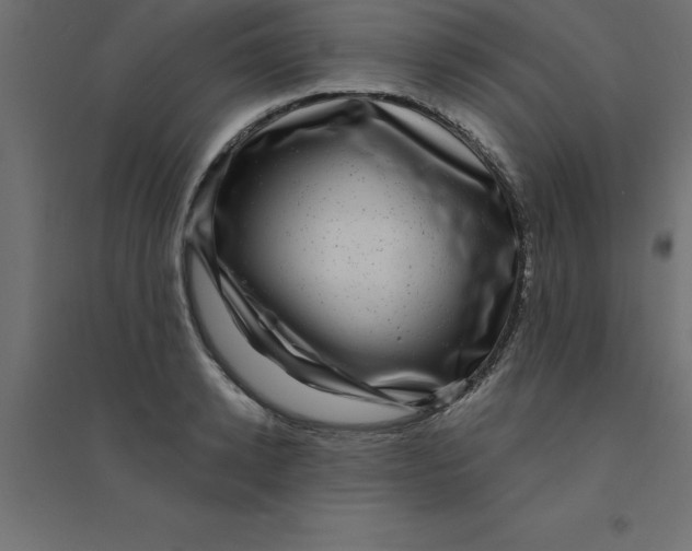 X0000094350942200711241911