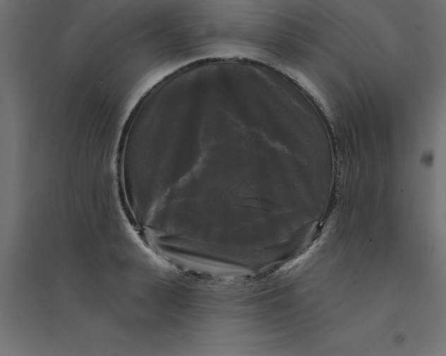 X0000094350943200711241911