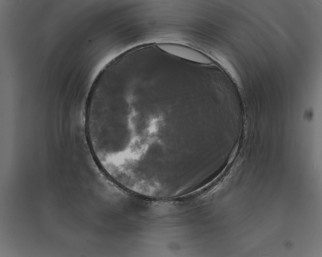 X0000094350944200711241911