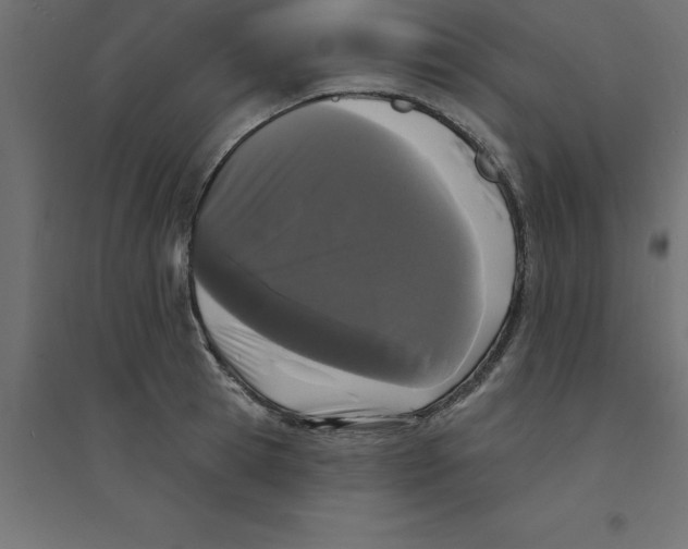 X0000094350945200711241911