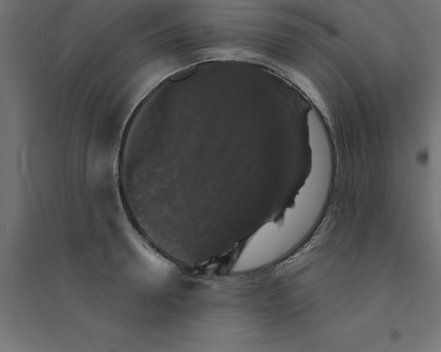 X0000094350946200711241911