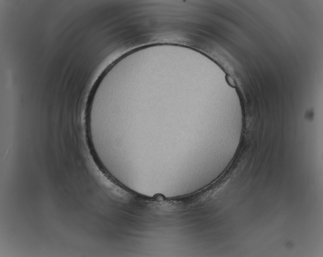 X0000094350947200711241912