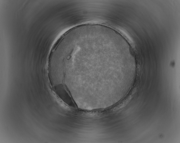 X0000094350948200711241912