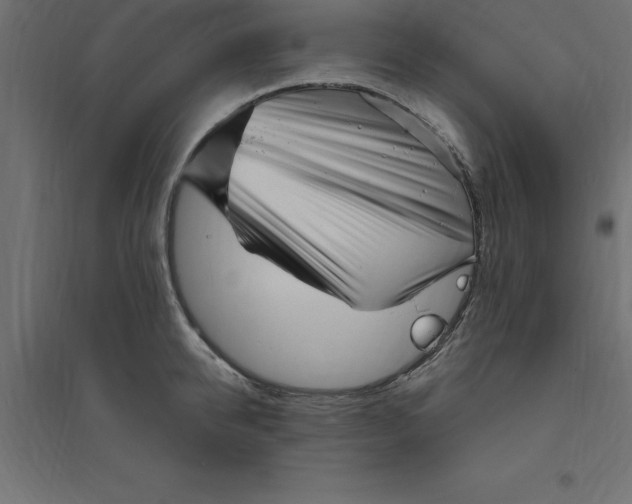 X0000094350950200711241912