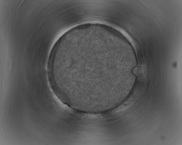 X0000094350951200711241912