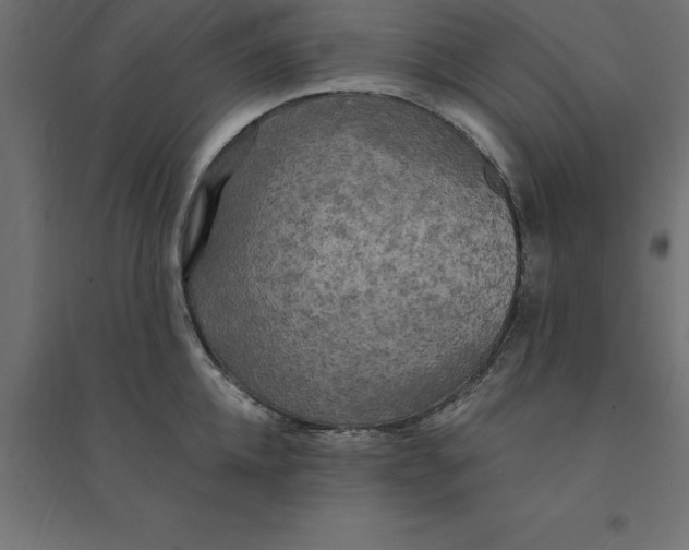 X0000094350952200711241912