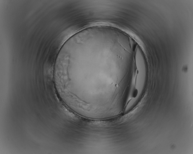 X0000094350953200711241912