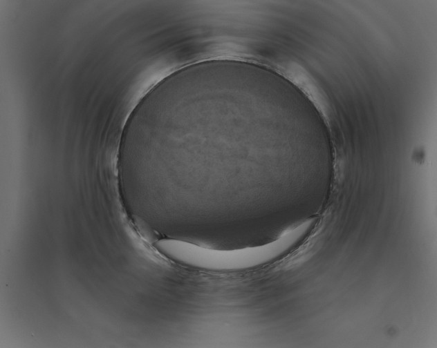 X0000094350954200711241912