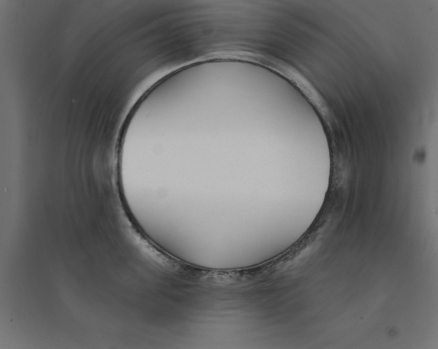 X0000094350955200711241912