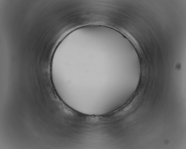 X0000094350956200711241912