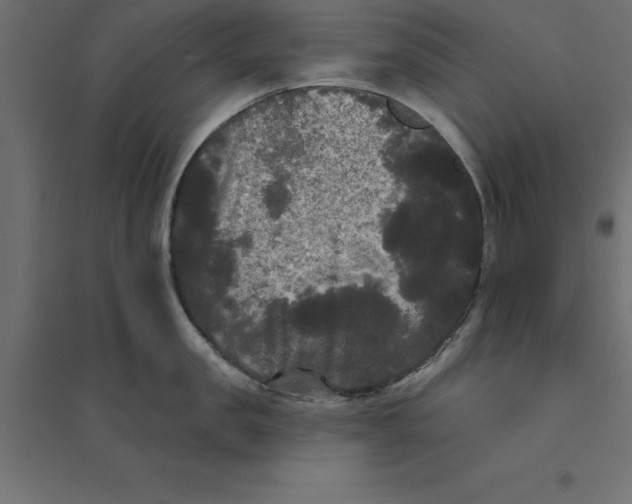 X0000094350957200711241912