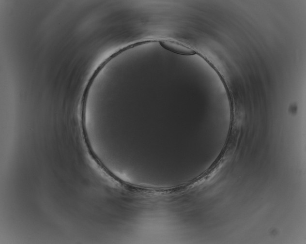 X0000094350958200711241912